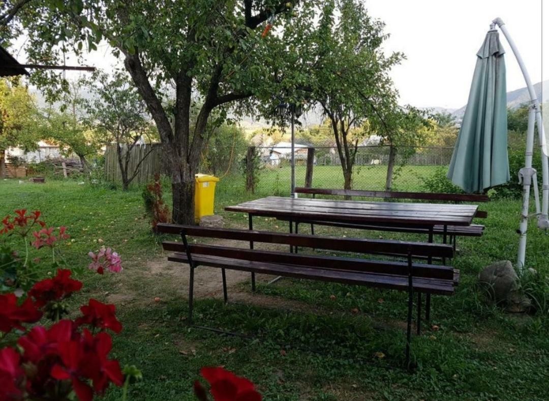 Călimăneşti Pensiunea Adeluta מראה חיצוני תמונה